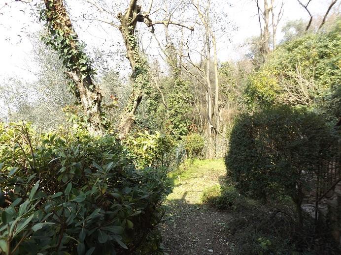 Villetta Rossone Torri Del Benaco Exteriör bild