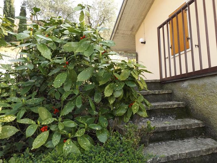 Villetta Rossone Torri Del Benaco Exteriör bild