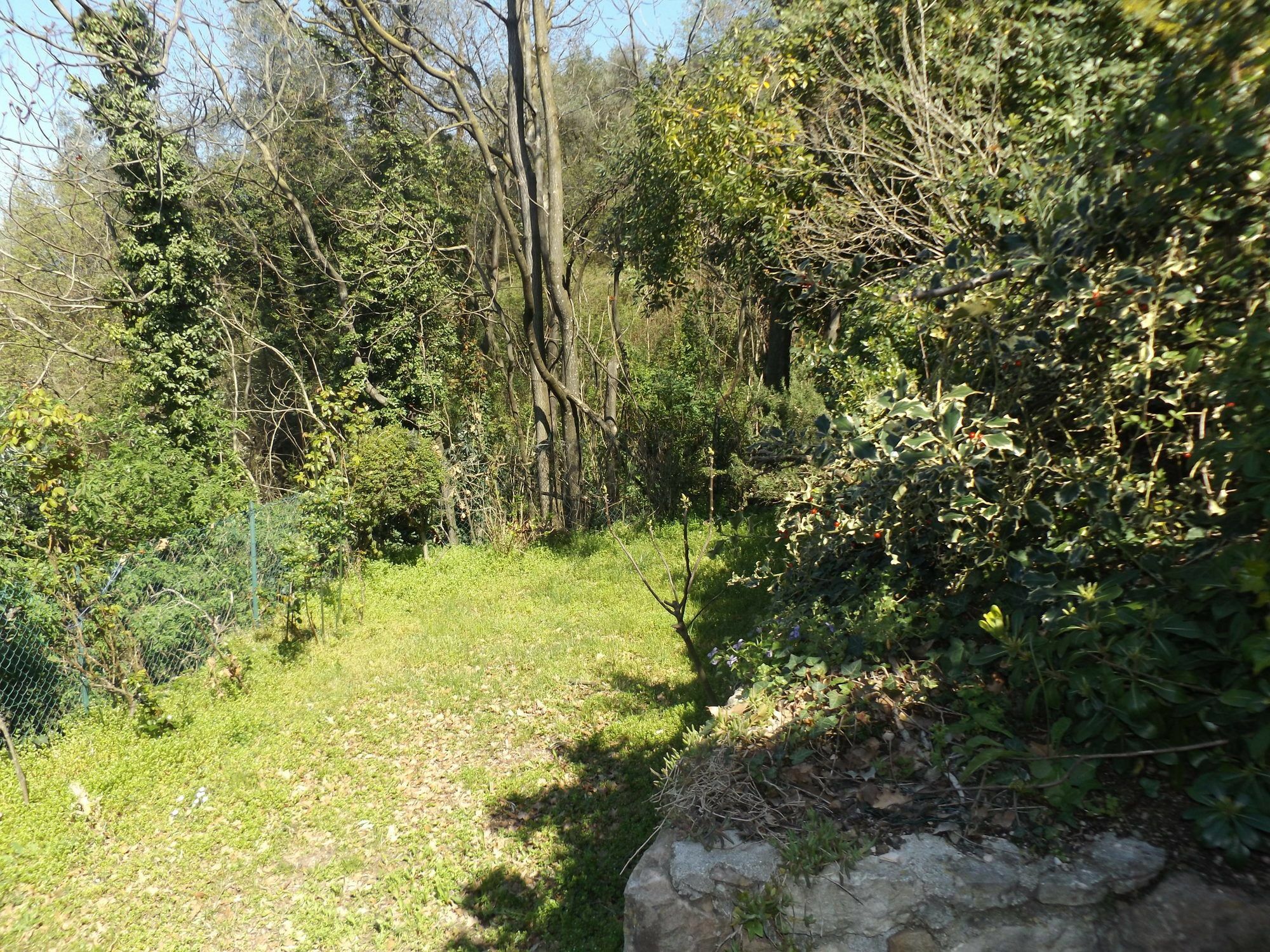 Villetta Rossone Torri Del Benaco Exteriör bild